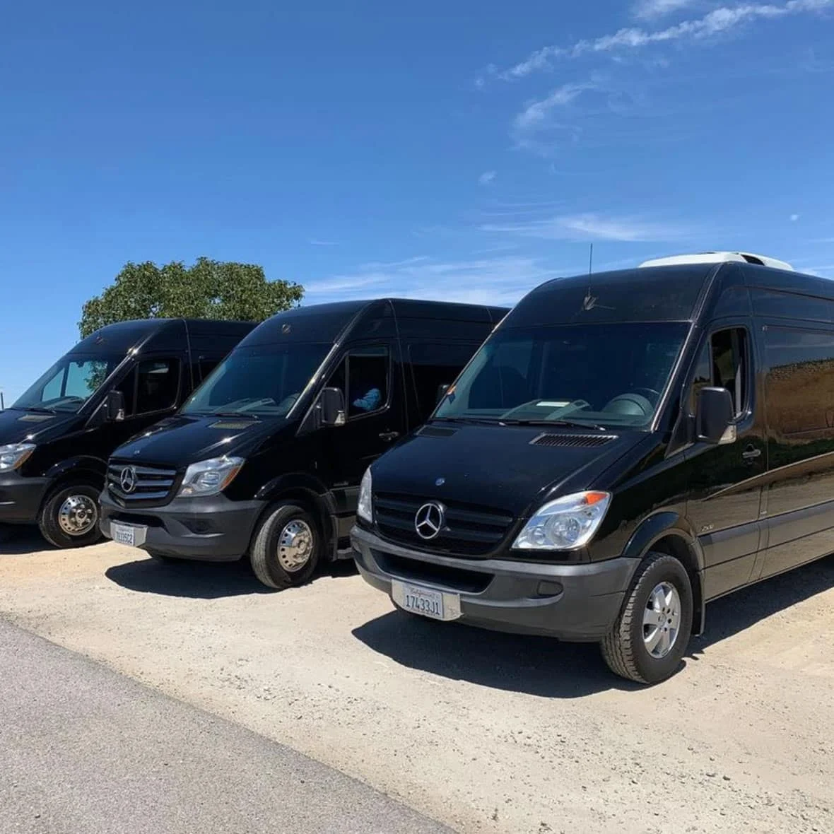 Grand Cru Limousine Gallery